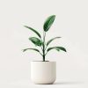 product 04